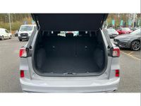 Used Ford Kuga 150 HP (110 kW) 2023 Grey SUV
