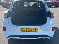 Used Ford Puma ST-Line X 125 HP (91 kW) 2023 White SUV