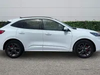 Used Ford Kuga ST-Line 190 HP (139 kW) 2023 White SUV