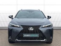 Used Lexus UX 250h Sport Design Packet 184 HP (135 kW) 2024 SUV