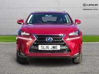 Used Lexus NX300h Luxury Line 194 HP (142 kW) 2016 Red SUV