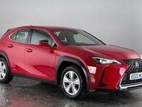 Used Lexus UX 250h 184 HP (135 kW) 2024 SUV