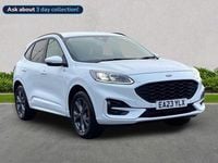 Used Ford Kuga ST-Line 2023 White SUV