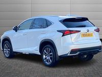 Used Lexus NX300h Luxury Line 197 HP (144 kW) 2018 White SUV