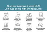 New Seat Ibiza FR Sport 113 HP (83 kW) 2025 Grey Hatchback