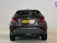 Used Toyota C-HR 122 HP (89 kW) 2023 Mauve/purple SUV