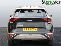Used Kia Sportage 159 HP (116 kW) 2024 Black SUV