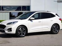 Used Ford Kuga ST-Line X 190 HP (139 kW) 2022 White SUV