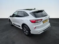 Used Ford Kuga ST-Line 225 HP (165 kW) 2023 White SUV