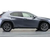 Used Lexus UX 250h Sport Line 2020 Grey SUV