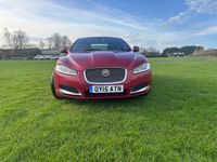 Used Jaguar XF Portfolio 200 HP (147 kW) 2015 Red Sedan