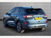 Used Ford Kuga ST-Line X 225 HP (165 kW) 2023 Blue SUV