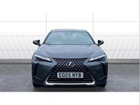 Used Lexus UX 300e 150 kW (204 HP) 2025 Grey SUV