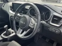 Used Kia Ceed 160 HP (117 kW) 2023 Hatchback