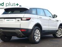 Used Land Rover Range Rover evoque SE 2016 White Estate