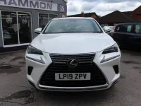 Used Lexus NX300h 2019 White SUV
