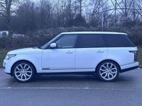 Used Land Rover Range Rover Vogue 258 HP (189 kW) 2016 White SUV