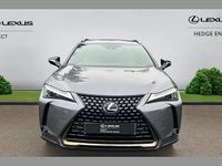 Used Lexus UX 250h 180 HP (132 kW) 2022 Grey SUV