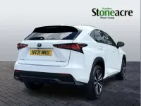 Used Lexus NX300h Sport Line 194 HP (142 kW) 2021 White SUV