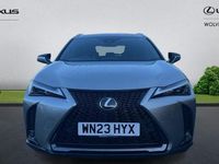 Used Lexus UX 250h Sport Design Packet 184 HP (135 kW) 2024 SUV
