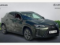 Used Lexus UX 250h Sport Line 184 HP (135 kW) 2022 SUV