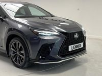 Used Lexus NX450h+ Sport Line 2022 Grey SUV