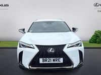 Used Lexus UX 250h Sport Line 184 HP (135 kW) 2022 SUV