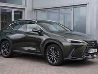 Used Lexus NX450h+ 301 HP (221 kW) 2024 Green SUV