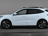 Used Ford Kuga ST-Line X 150 HP (110 kW) 2023 White SUV