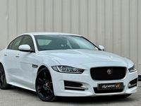 Used Jaguar XE R-Sport 180 HP (132 kW) 2016 White Sedan