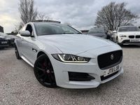 Used Jaguar XE R-Sport 180 HP (132 kW) 2015 White Sedan