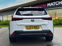 Used Lexus UX 250h Sport Design Packet 2023 White SUV