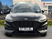 Used Ford Kuga ST-Line X 224 HP (164 kW) 2020 SUV