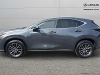 Used Lexus NX350h 240 HP (176 kW) 2025 Grey SUV