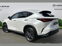 Used Lexus NX350h 239 HP (175 kW) 2023 White SUV