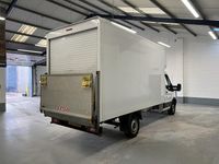 Used Ford Transit 130 HP (95 kW) 2023 White Cabriolet