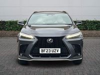 Used Lexus NX350h Sport Line 2023 Grey Estate