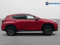 Used Lexus NX350h 2023 Red Estate