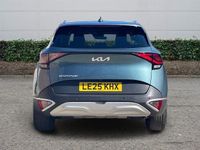 Used Kia Sportage 159 HP (116 kW) 2024 SUV