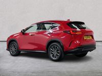 Used Lexus NX350h 2024 Red Estate