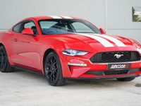 Used Ford Mustang Fastback 290 HP (213 kW) 2019 Red Coupe