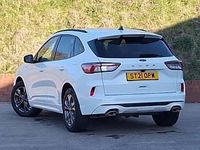 Used Ford Kuga ST-Line 150 HP (110 kW) 2021 White SUV