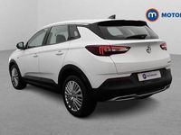 Used Vauxhall Grandland X Business Edition 131 HP (96 kW) 2021 White SUV