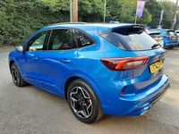 Used Ford Kuga ST-Line X 243 HP (178 kW) 2024 Desert island blue SUV