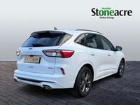 Used Ford Kuga ST-Line 190 HP (139 kW) 2023 White SUV