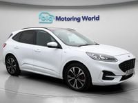 Used Ford Kuga ST-Line X 150 HP (110 kW) 2022 White SUV