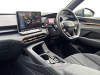 Used Cupra Terramar 2025 Blue SUV