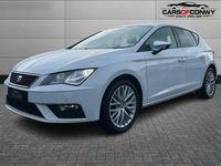 Used Seat Leon SE Dynamic 115 HP (84 kW) 2019 White Hatchback