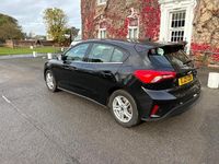 Used Ford Focus Zetec 120 HP (88 kW) 2021 Black Hatchback