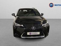 Used Lexus UX 250h 184 HP (135 kW) 2024 SUV